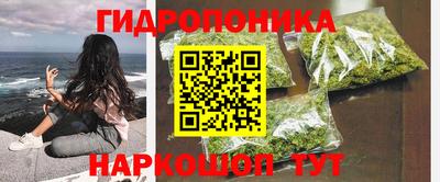 индика Бузулук