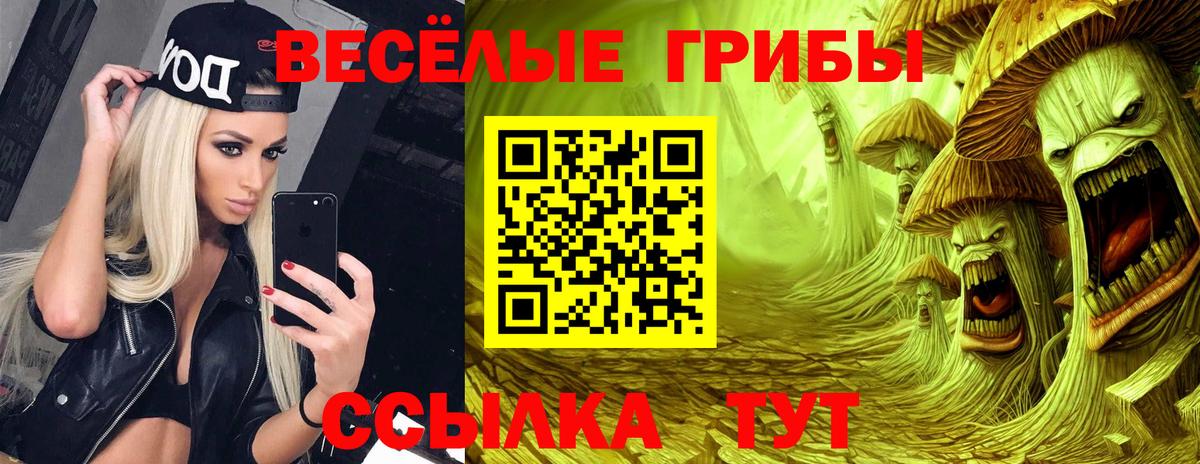Галлюциногенные грибы прущие грибы  Псилоцибиновые грибы Cubensis  Вход с VPN  Шелехов 